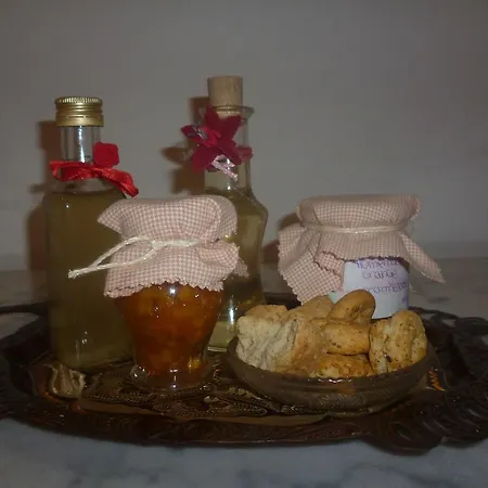 וילה Odyssey House חאניה